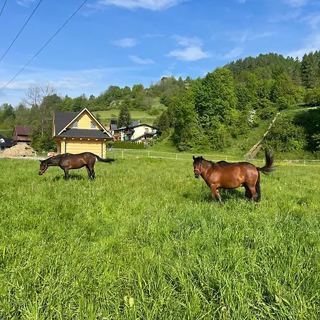 Gorczanskie Dağ evi