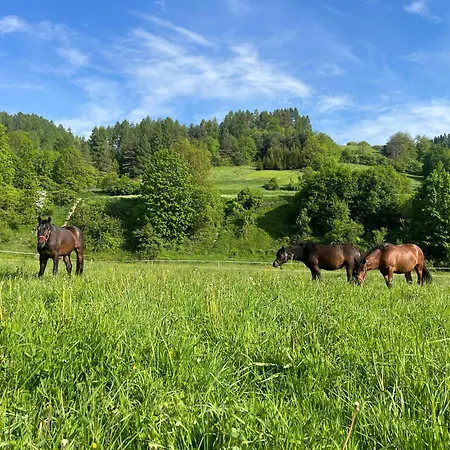 Dağ evi Gorczanskie *